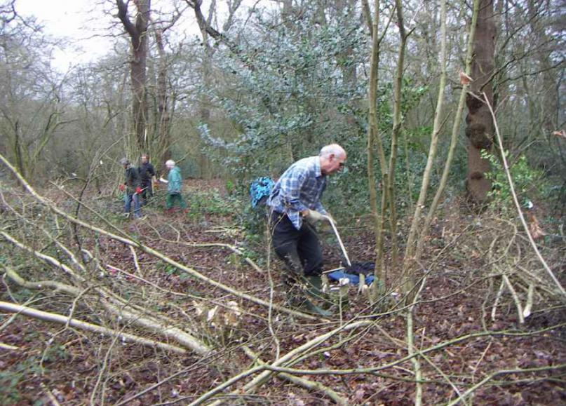 Volunteers needed for Conservation Work at Nature Reserve