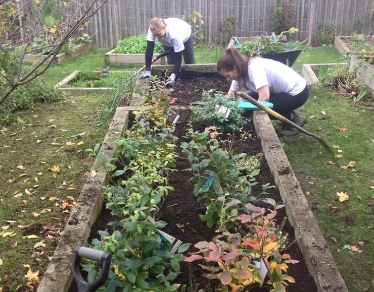 Learn, Grow, Share – Westcott Park Gardening Sessions