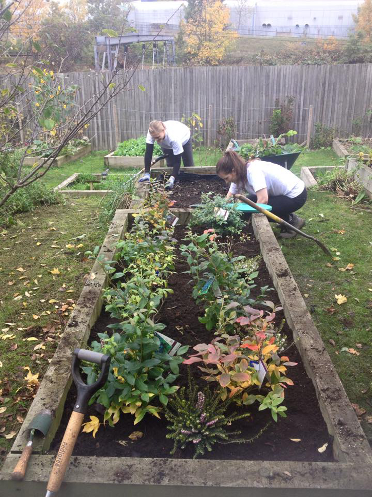Learn, Grow, Share Westcott Park Gardening Sessions Do Something Good