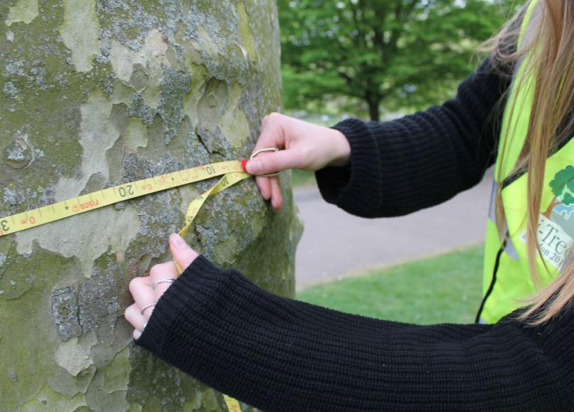 Ealing i-Tree – Volunteer Tree Surveyor