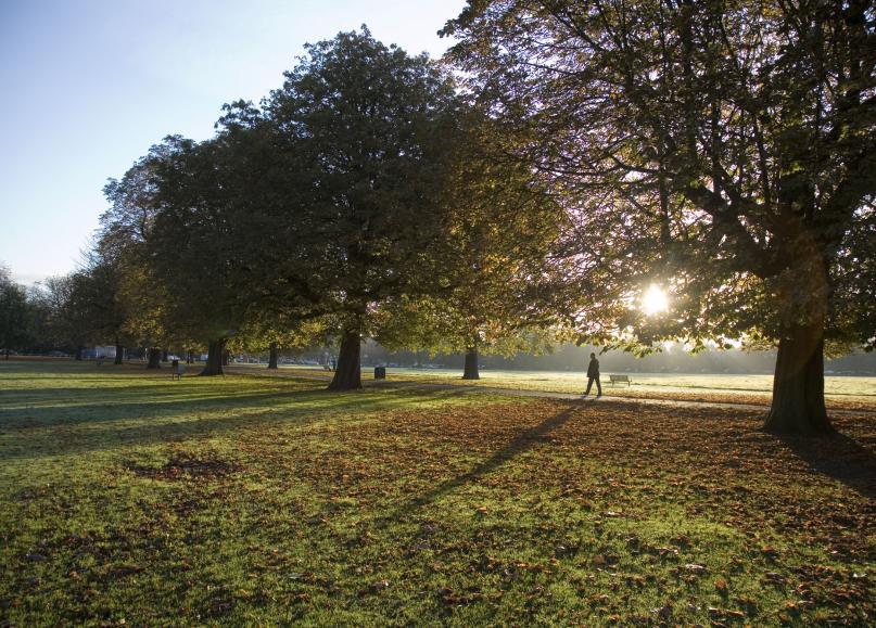 Ealing Walking Club