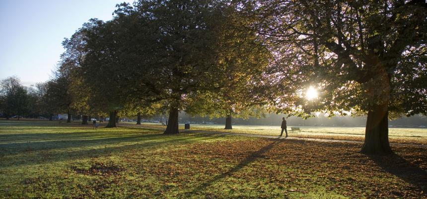 writing groups ealing