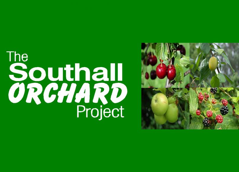 Southall Orchard Project – Phase 1a
