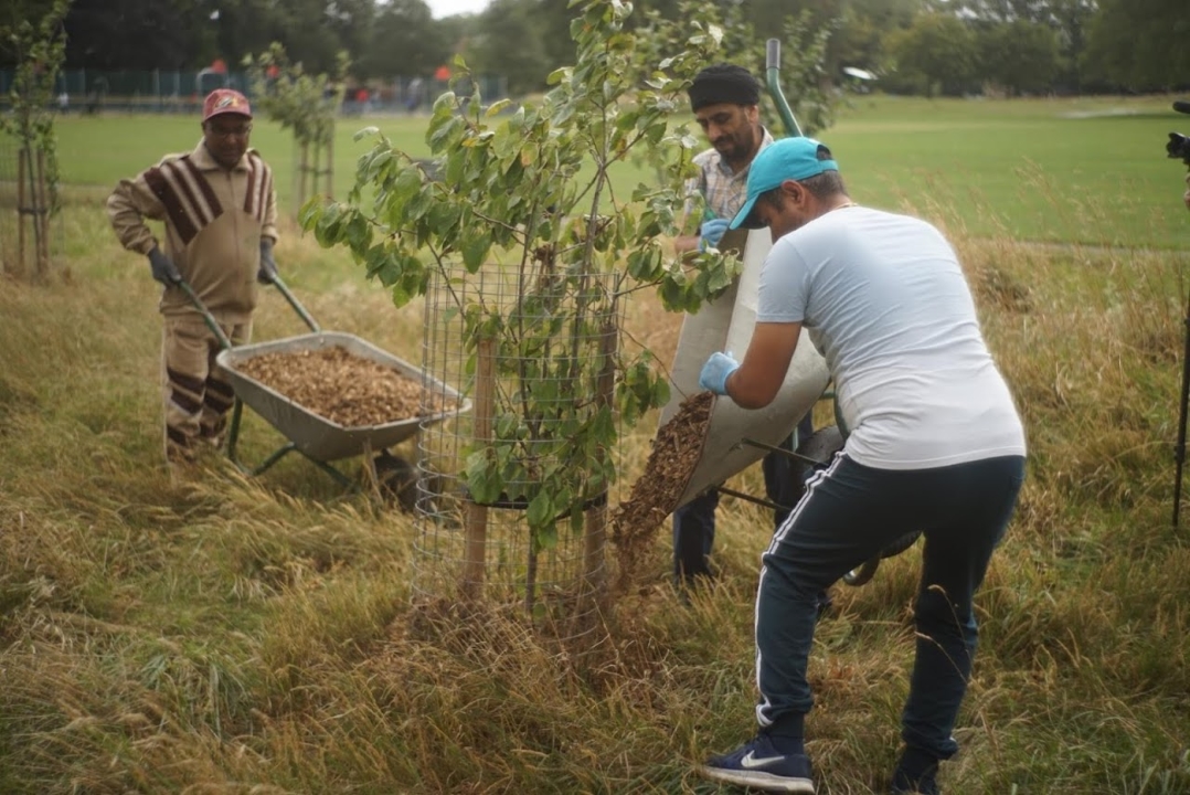 How to Set Up a Park Group Do Something Good