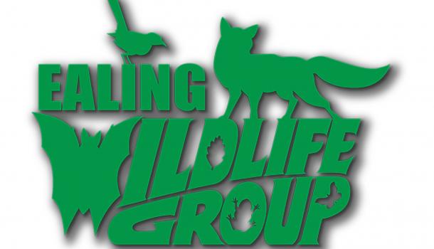 Ealing Wildlife Group