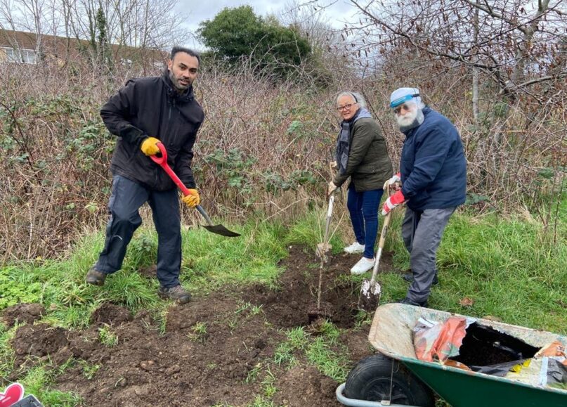 Feeding Ealing – Polytunnel Food growing and sharing projects